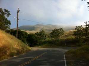 Biking California Photo: MMaggenti